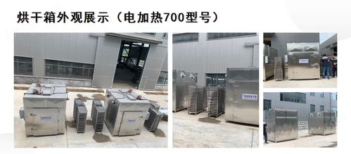 草莓電加熱烘干機 水果干烘干設(shè)備
